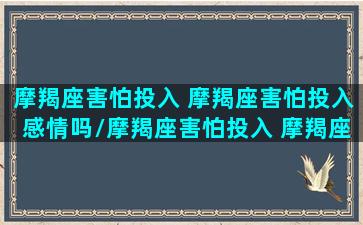 摩羯座害怕投入 摩羯座害怕投入感情吗/摩羯座害怕投入 摩羯座害怕投入感情吗-我的网站